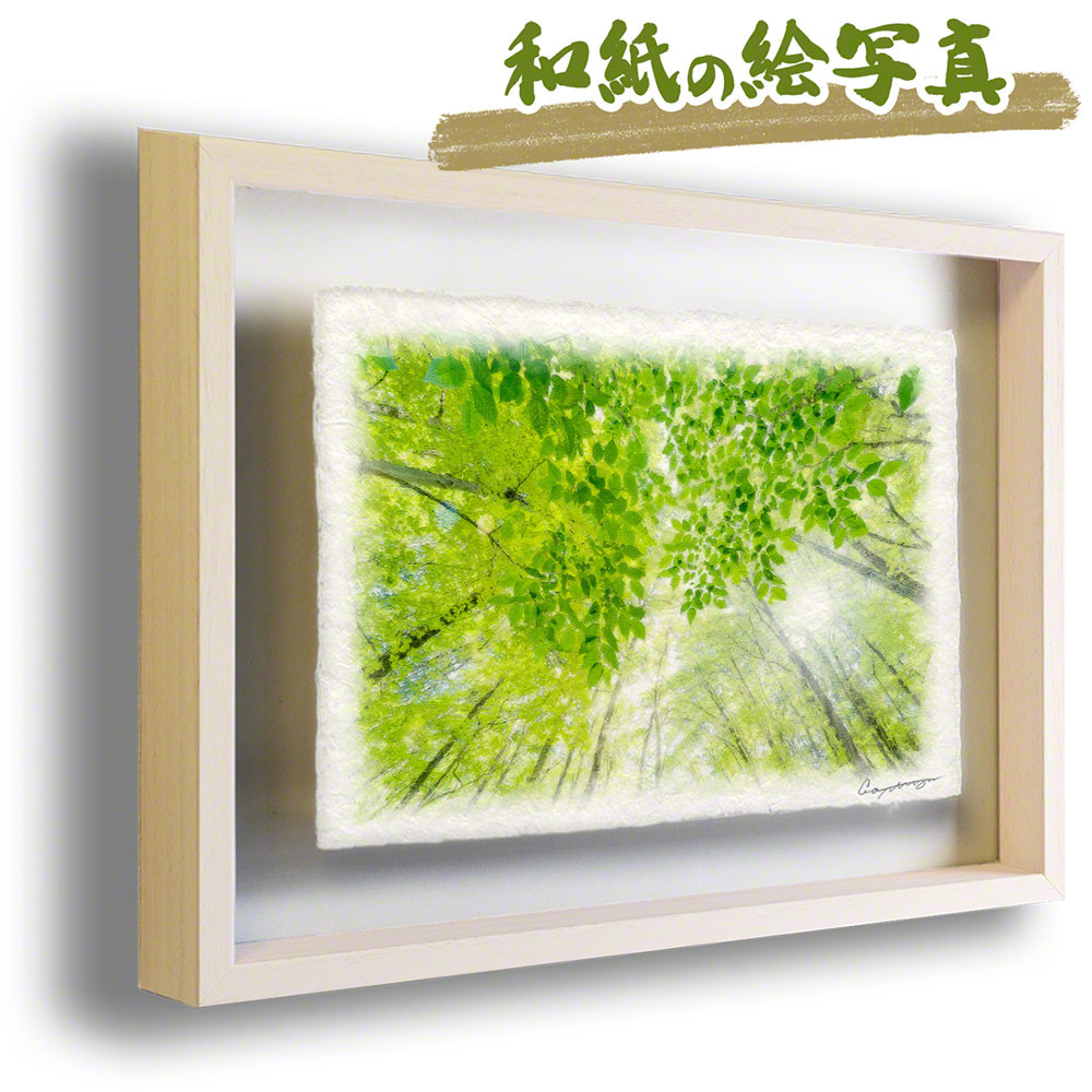 和紙の絵写真 額縁付き 「太陽と新緑の雑木林と若葉」 絵画