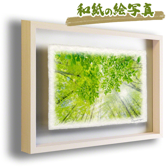 和紙の絵写真 額縁付き 「太陽と新緑の雑木林と若葉」 絵画
