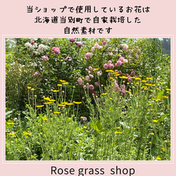 薔薇と瑠璃玉アザミ＊ドライフラワースワッグ　北海道からお届け 6枚目の画像