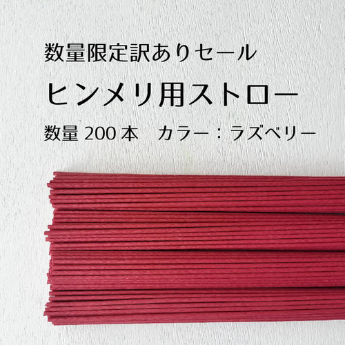 ヒンメリ用ストロー100本 その他素材 greenstyleforest 通販