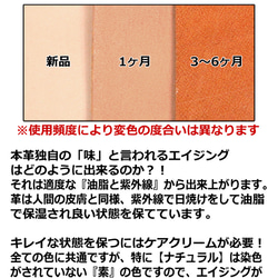 “コロニル ナノプロ 防水スプレー 300ml 正規品” レザー用品 革製品 手入れ Collonil NANOPRO 3枚目の画像