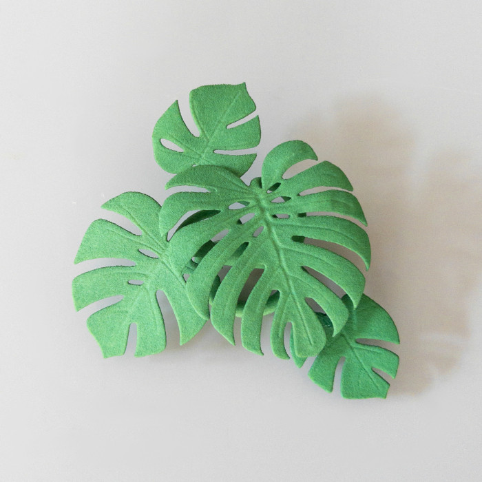 モンステラ　グリーン