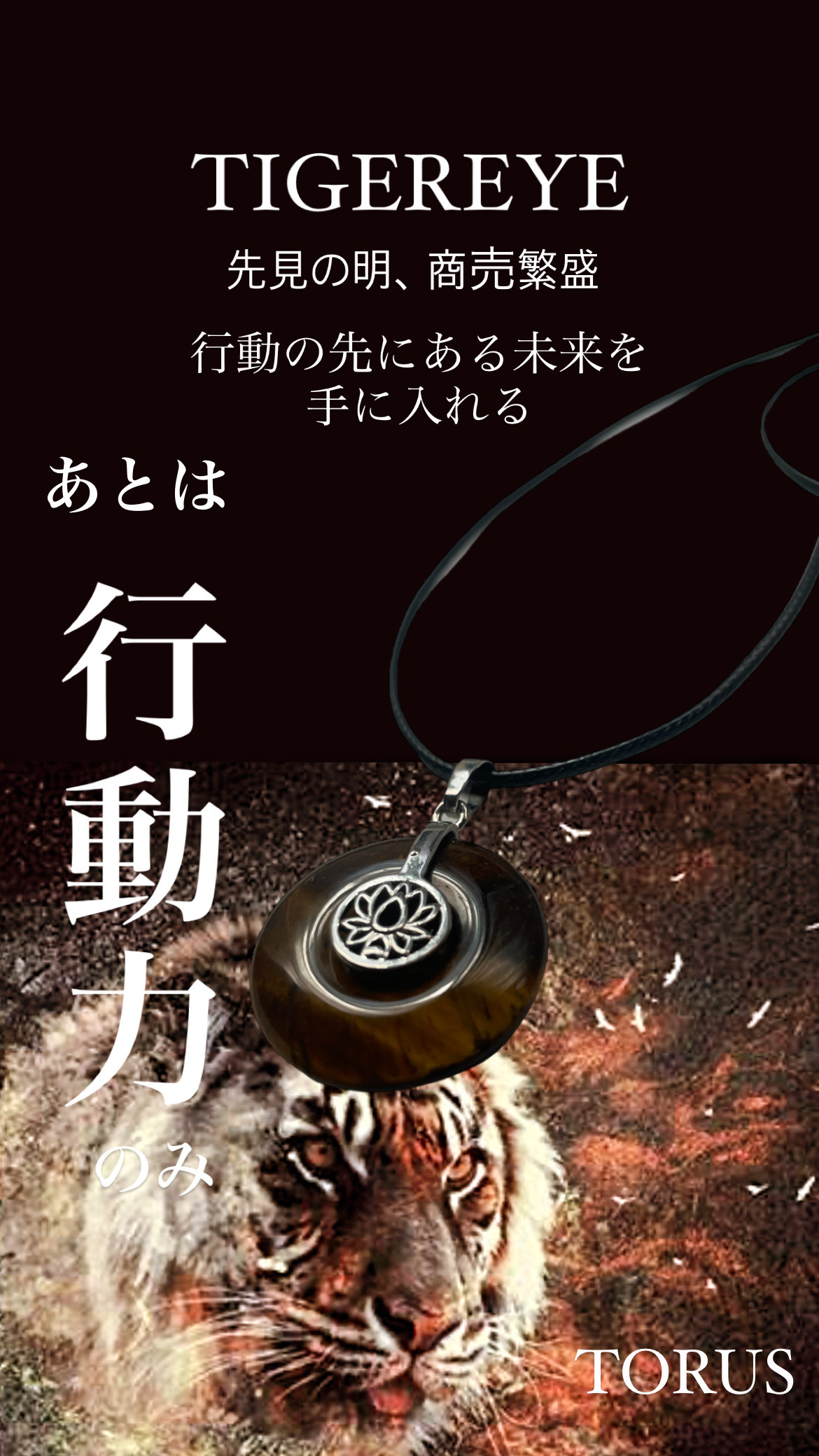 タイガーアイ トーラス ネックレス