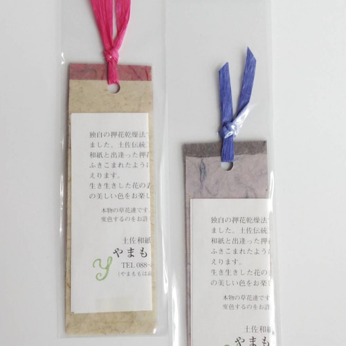 土佐和紙とブルースターの栞 2枚セット しおり・ブックマーク やまもも