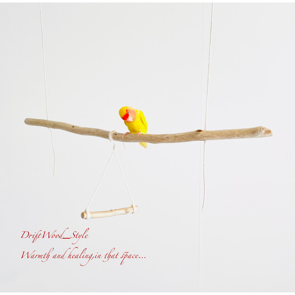流木インテリア  シンプルな天然流木の小鳥の止まり木 吊り下げタイプ インコ 鳥 ブランコ 自然木 No.12 3枚目の画像
