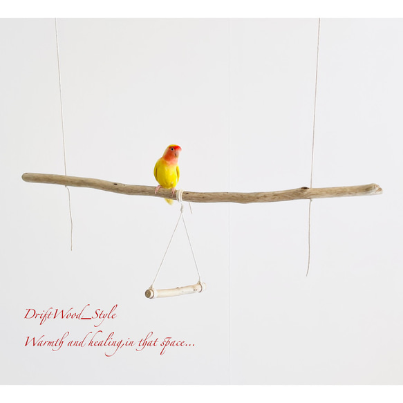 流木インテリア  シンプルな天然流木の小鳥の止まり木 吊り下げタイプ インコ 鳥 ブランコ 自然木 No.12 1枚目の画像