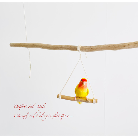 流木インテリア  シンプルな天然流木の小鳥の止まり木 吊り下げタイプ インコ 鳥 ブランコ 自然木 No.12 4枚目の画像