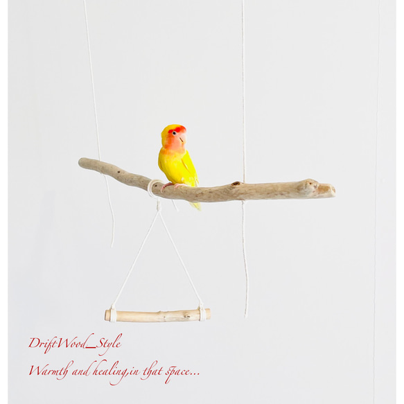 流木インテリア  シンプルな天然流木の小鳥の止まり木 吊り下げタイプ インコ 鳥 ブランコ 自然木 No.12 2枚目の画像