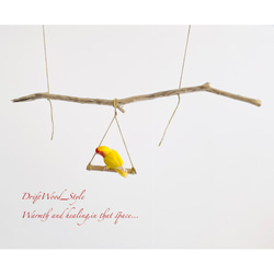 流木インテリア  シンプルな天然流木の小鳥の止まり木 吊り下げタイプ インコ 鳥 ブランコ 自然木 No.13 5枚目の画像