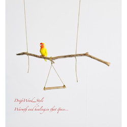 流木インテリア  シンプルな天然流木の小鳥の止まり木 吊り下げタイプ インコ 鳥 ブランコ 自然木 No.13 1枚目の画像
