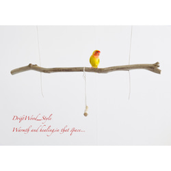 流木インテリア  シンプルな天然流木の小鳥の止まり木 吊り下げタイプ インコ 鳥 ブランコ 自然木 No.14 3枚目の画像