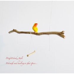 流木インテリア  シンプルな天然流木の小鳥の止まり木 吊り下げタイプ インコ 鳥 ブランコ 自然木 No.14 1枚目の画像