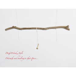 流木インテリア  シンプルな天然流木の小鳥の止まり木 吊り下げタイプ インコ 鳥 ブランコ 自然木 No.14 6枚目の画像