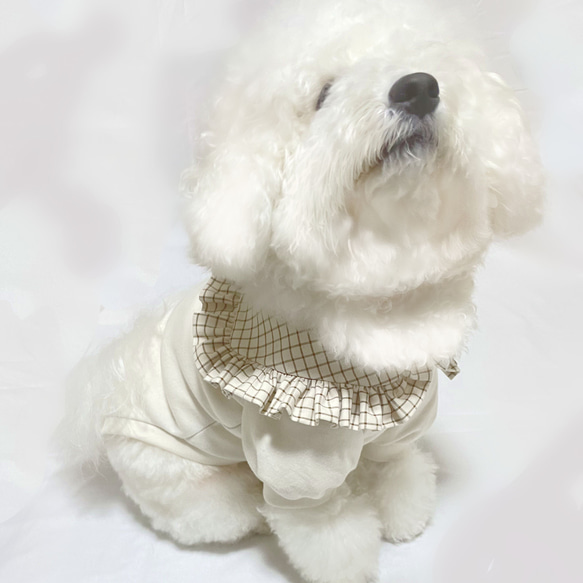 【犬服型紙】スクエアカラー・トップス 3枚目の画像