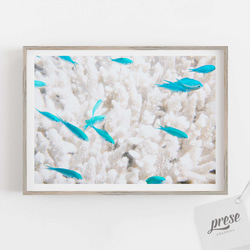 クリアブルーの魚が舞う珊瑚の楽園：トロピカル海底の美しい瞬間キャッチ ポスター あなたの部屋を海の世界に変えるアート 1枚目の画像