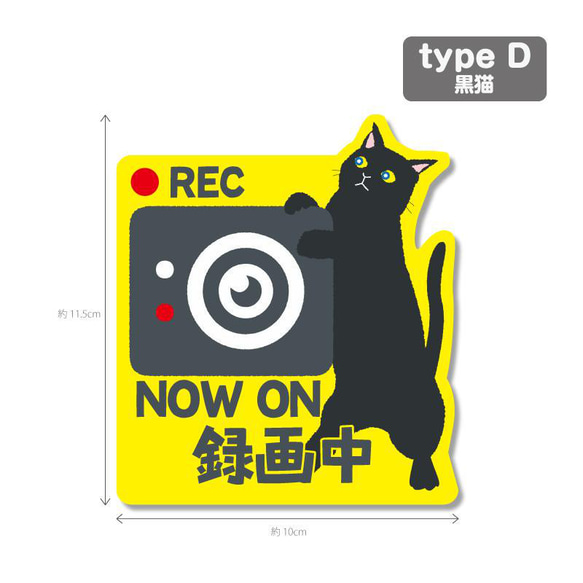 【猫シリーズ２（黄色背景）】ドラレコ　ドライブレコーダーステッカー シール １枚 5枚目の画像