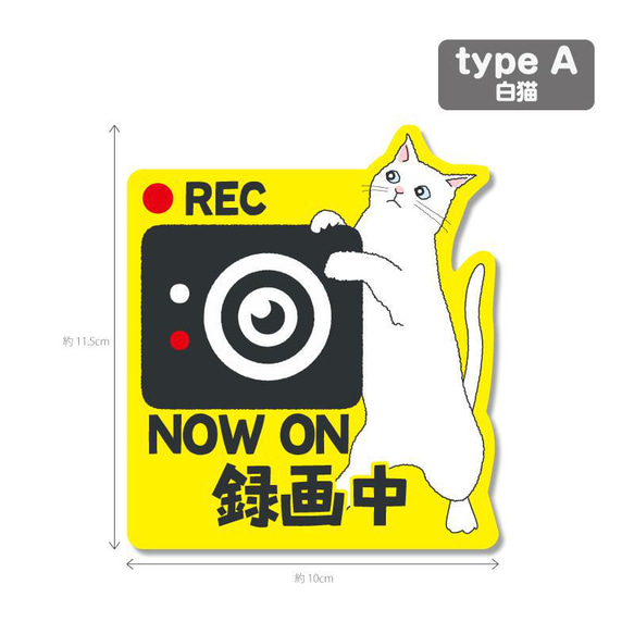 【猫シリーズ２（黄色背景）】ドラレコ　ドライブレコーダーステッカー シール １枚 2枚目の画像
