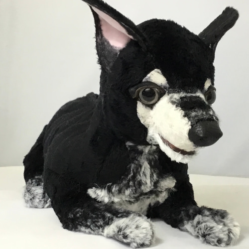 黒いチワワ ぬいぐるみ ゴリ 通販 16268106|Creema(クリーマ) 黒いチワワ ぬいぐるみ ゴリ 通販 16268106|Creema(クリーマ)