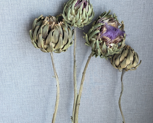 c8036d89a30288d569a7a5fbe787c3