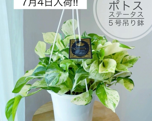 d56a7cb3515684cf2e78b207b30e00