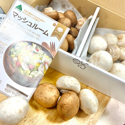 舟型マッシュルームとチキンのジェノベーゼピザ パン ラ