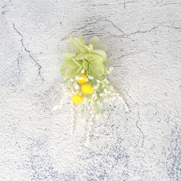 【一点限定】本物のお花のアクセサリー ピアス イヤリング プリザーブドフラワー ウェディング ナチュラル イエロー 9枚目の画像