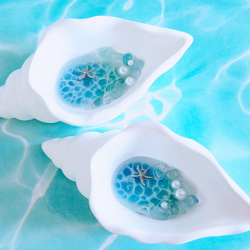 アロマストーンシェル&ハーバリウム海セット 現品限り】アロマストーンシェル&ハーバリウム海セット