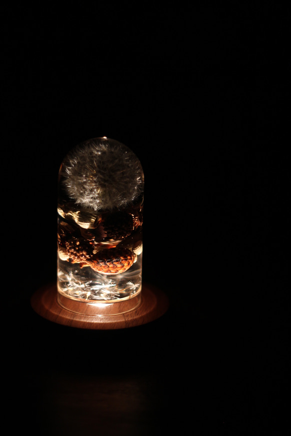 【固まるハーバリウム】たんぽぽの綿毛と木の実のレジンフラワー　サンキャッチャー　デスクライト 2枚目の画像