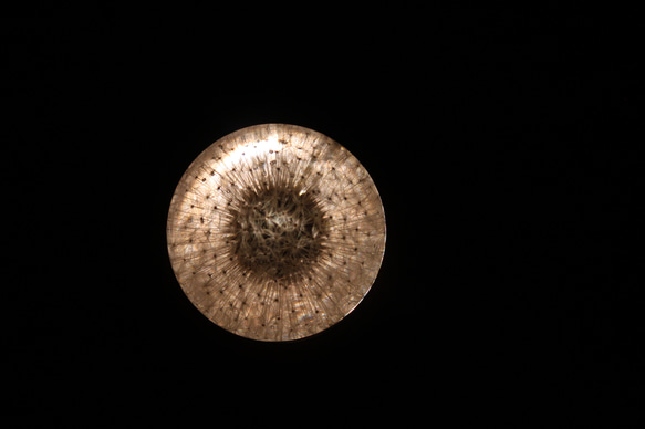 【固まるハーバリウム】たんぽぽの綿毛と木の実のレジンフラワー　サンキャッチャー　デスクライト 6枚目の画像