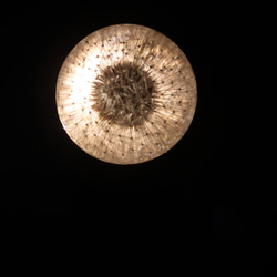 【固まるハーバリウム】たんぽぽとプルモサスの綿毛のレジンフラワー　サンキャッチャー　デスクライト 4枚目の画像
