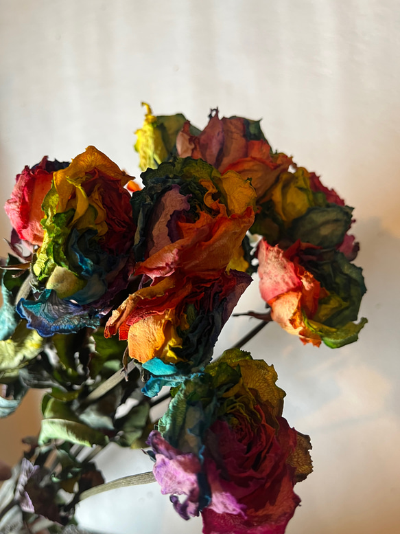 ドライフラワー　花材　素材　単品✿レインボー薔薇5本セット 4枚目の画像