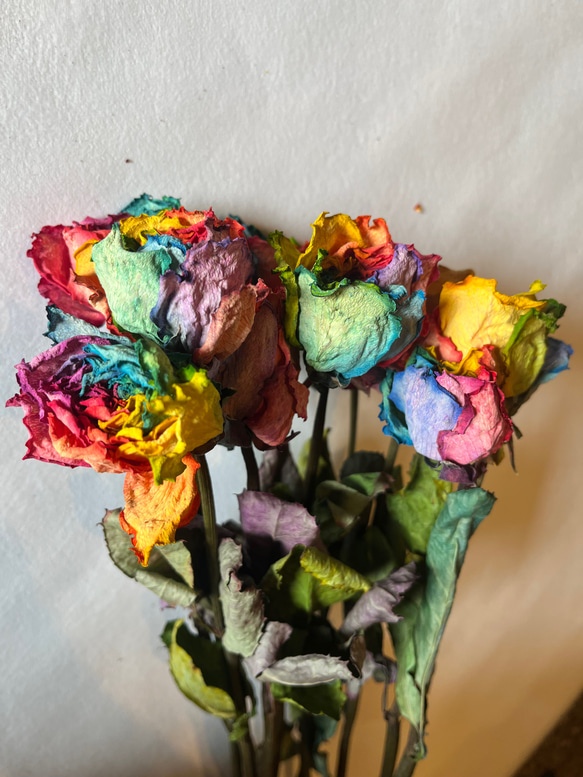 ドライフラワー　花材　素材　単品✿レインボー薔薇5本セット 5枚目の画像