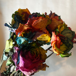 ドライフラワー　花材　素材　単品✿レインボー薔薇5本セット 6枚目の画像