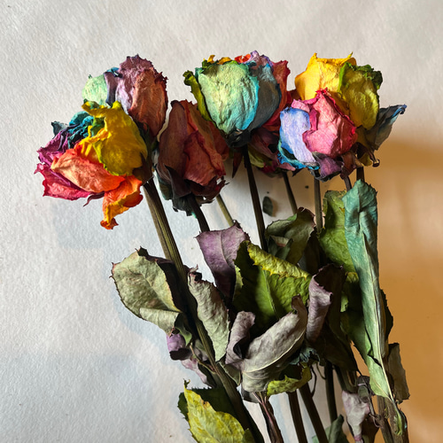 ドライフラワー 花材 素材 単品✿レインボー薔薇5本セット ドライ