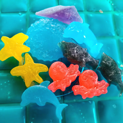 『Creema限定新作』海の仲間の琥珀糖※ネオ和菓子※5種類のお味が楽しめる 3枚目の画像