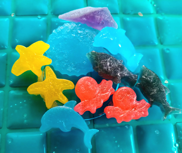 『Creema限定新作』海の仲間の琥珀糖※ネオ和菓子※5種類のお味が楽しめる 3枚目の画像