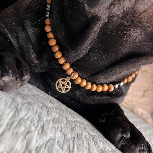 わんちゃん用 犬用♡テラヘルツ♡ウッドビーズネックレス♡五芒星