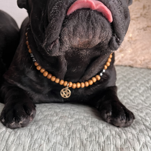 わんちゃん用 犬用♡テラヘルツ♡ウッドビーズネックレス♡五芒星