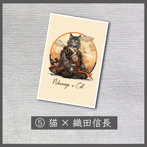 猫*様 <関係者限定>ポケモン　ポストカードセット非売品 postcard-set-haku.jpg