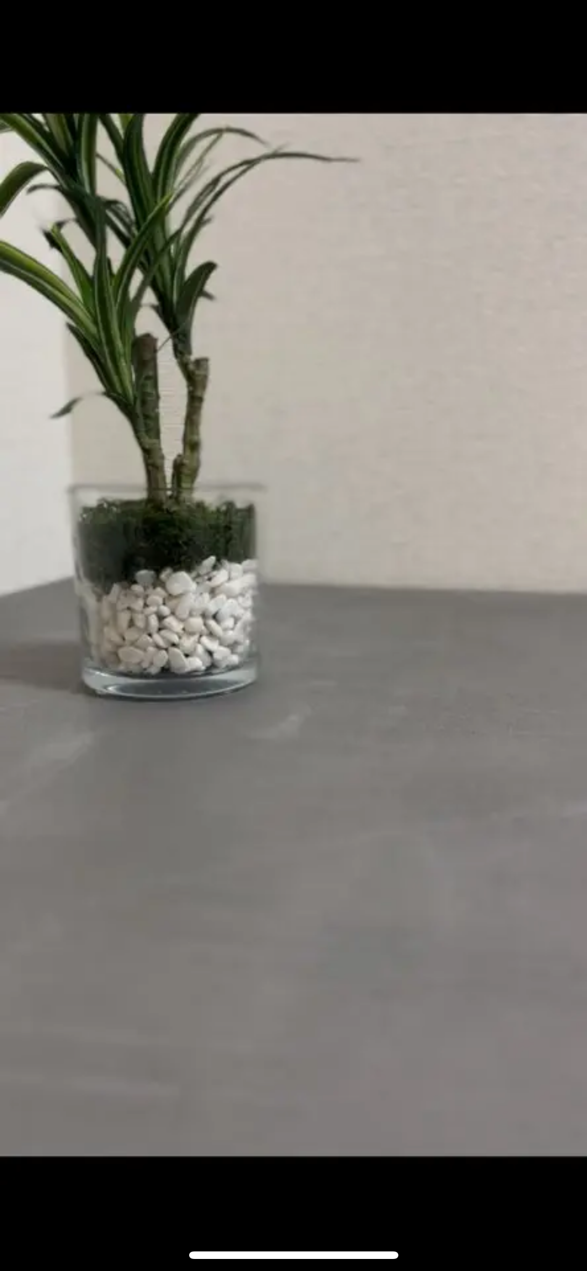 モールテックス　ローテーブル