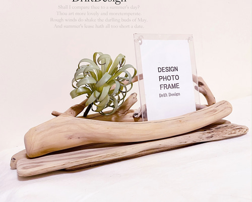 〜DriftDesign〜　希少流木アートの変木デザインインテリアミラー　鏡 DriftDesign〜 希少流木アートの変木デザインインテリアミラー 鏡