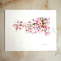 一点物】『 桜ー春風 』桜2025 油絵 F6号キャンバス 油彩 油画