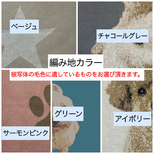 世界にひとつだけ！オーダーメイドうちの子ブランケット ペット