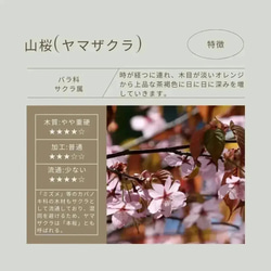 【ハイエース専用】T2Lオリジナル　天然山桜　エアコンダイヤルカバー　 6枚目の画像