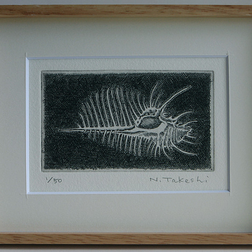 売れ筋がひクリスマスプレゼント！ ホネ貝・2023A/銅版画(額あり） 版画 16274776 通販 Gray Atelie その他