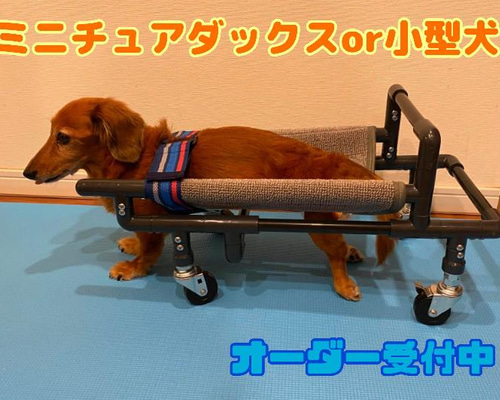 四輪歩行器、犬歩行器、犬車椅子(ミニチュアダックス専用 四輪歩行器、犬歩行器、犬車椅子(ミニチュアダックス専用