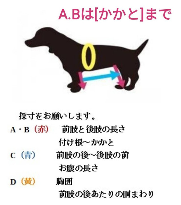 四輪歩行器、犬歩行器、犬車椅子（シートタイプ） 8枚目の画像