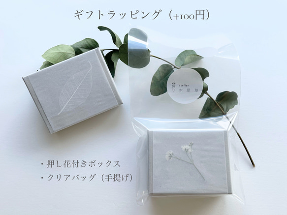 【  eau  】つぶつぶクリアカボションと葉っぱのピアス/イヤリング/ヴィンテージ/ボタニカル/上品/夏/リーフ/真鍮 12枚目の画像