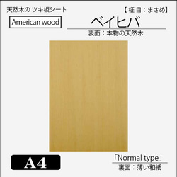 天然素材 kusakusa88 Brazilian Seed 0.0472mf.400V10% Capacitors-Paper