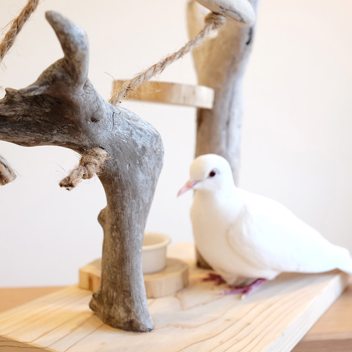 ヒノキ×流木】鳥さんの止まり木スタンド M｜ラダー付き おもちゃ